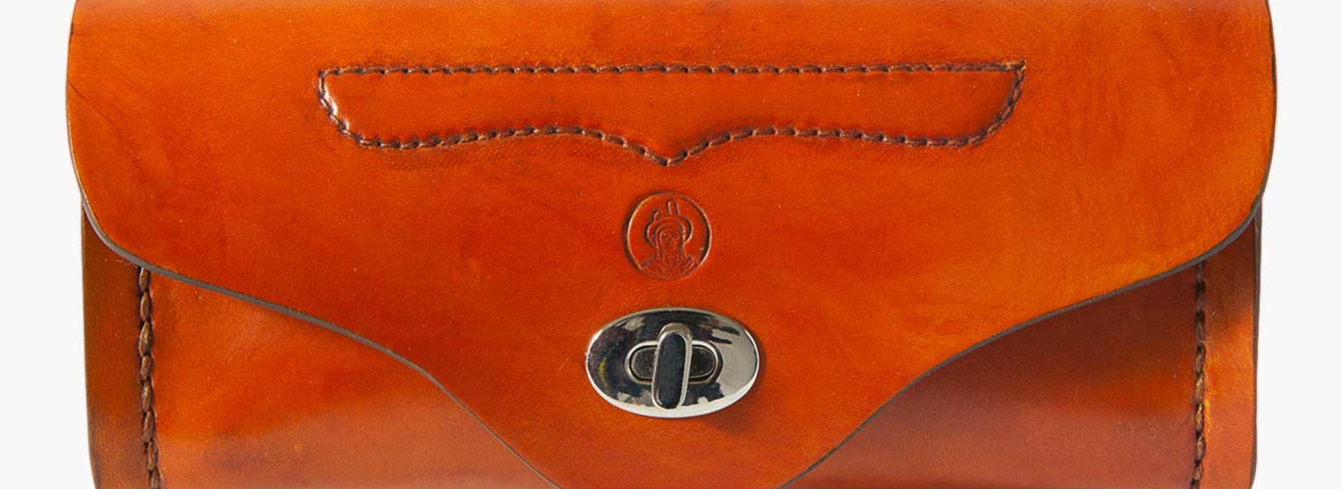 Leather bag closed to store shoe care accessories